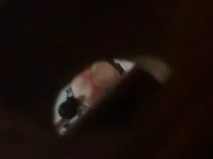 Trẻ xxx nguoi voi ch ...