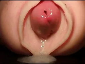 Mặc xxx nguoi va don ...