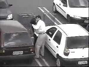 Chó, vào xe được xxx ...